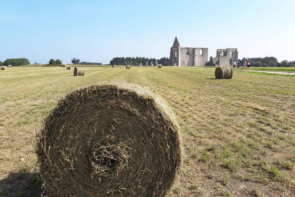La Virginie - Suite Ile'O La Couarde sur Mer Bagian luar foto